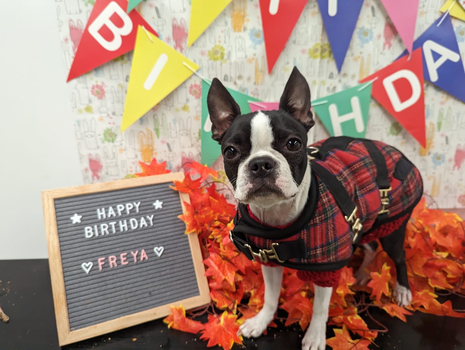 Freya at her birthday party