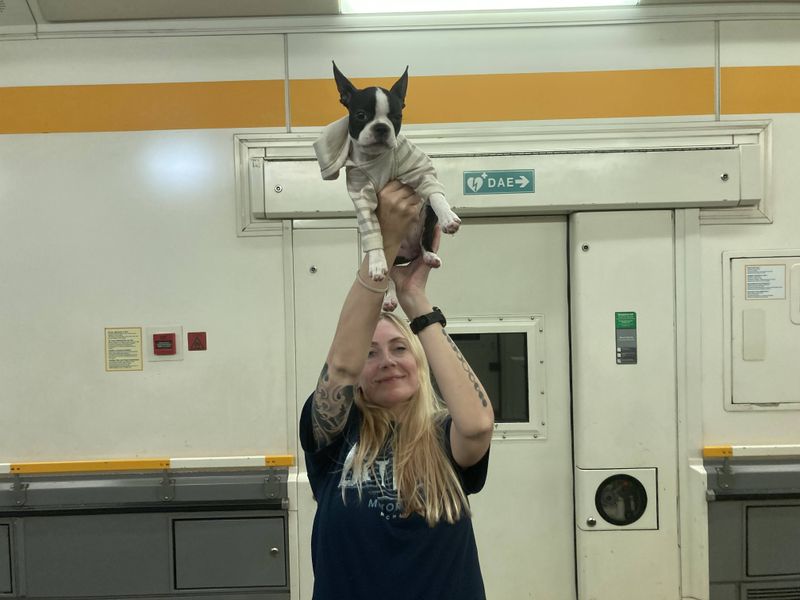 Kelly holding up Freya while we're on a train under the Channel